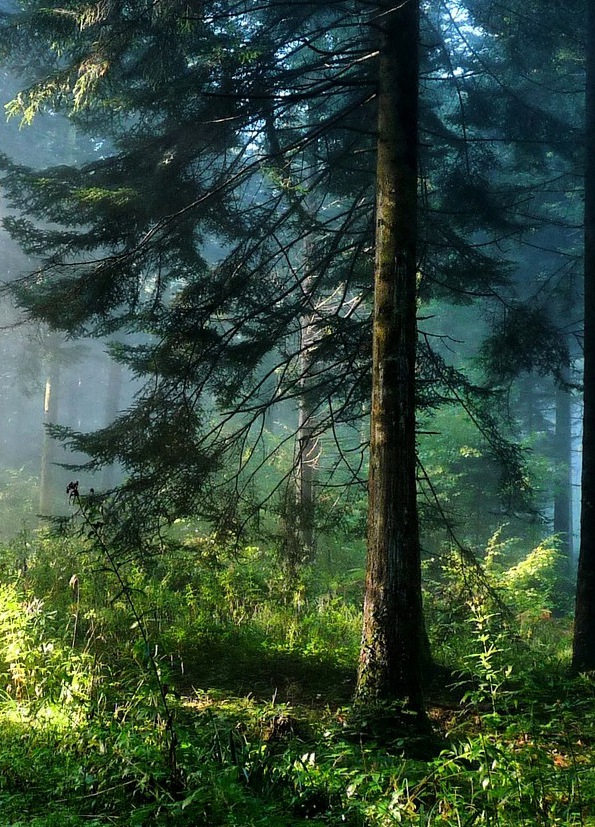 格栏坪国家公园一日游